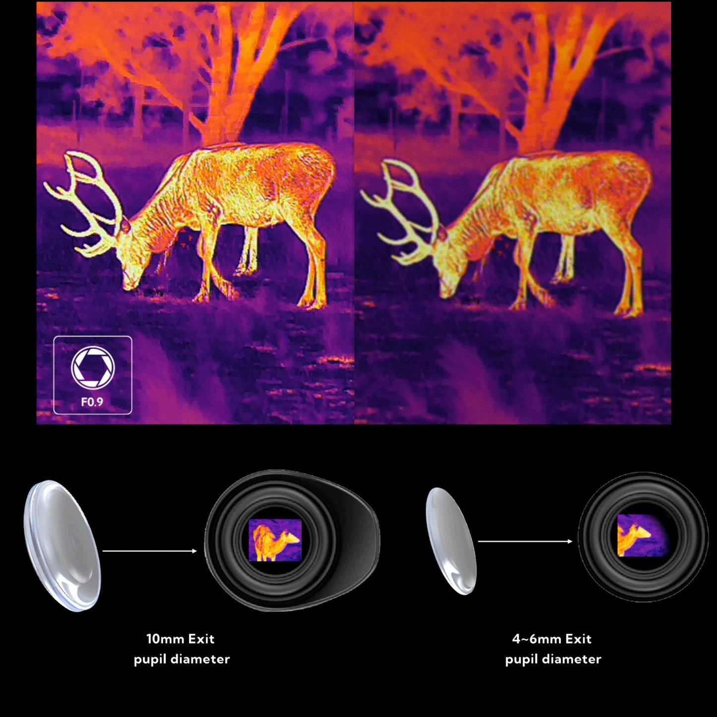 VISOR NOCPIX TÉRMICO LUMI L35R